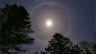 the large circle around the moon