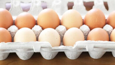 Egg price will decrease in sri lanka