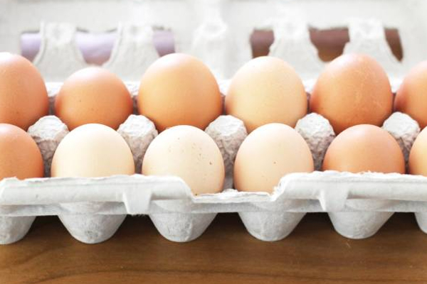 Egg price will decrease in sri lanka