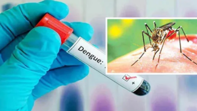 dengue fever increase in Sri Lanka