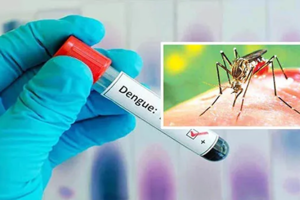 dengue fever increase in Sri Lanka