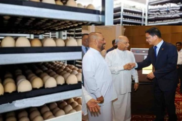 china provided incubators to sri lanka