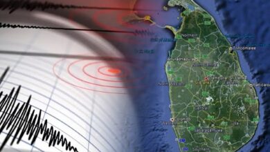 The geologist, information officer of the Bureau of Geology and Mines, has said that the possibility of strong earthquakes in Sri Lanka is very low.