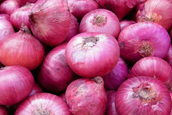 Big Onion Price Rising Fast in Sri Lanka