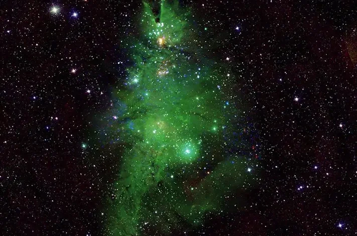 NASA has shared a picture of a cluster of stars that looks like a Christmas tree about 2,500 light-years away from Earth.