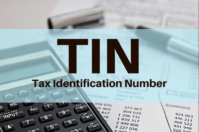 Sri Lankans living abroad and dual citizens are not required to obtain a 'TIN' number