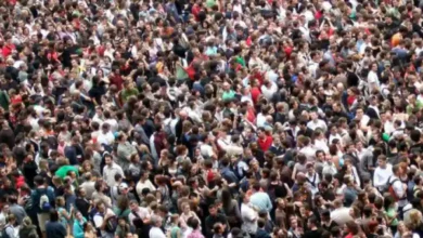 On January 15th, the world population will reach 8 billion