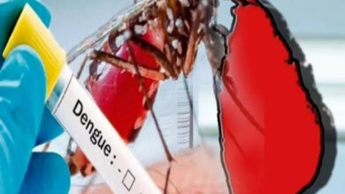 The number of dengue patients has increased rapidly in Sri Lanka