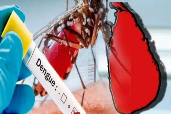 The number of dengue patients has increased rapidly in Sri Lanka