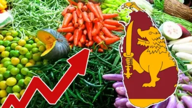 Senior Adviser to the President Sagala Ratnayake has said that there is no possibility of reducing the price of goods in Sri Lanka.