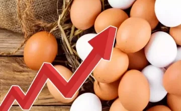 Egg prices increase again in Sri Lanka