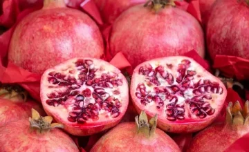 Introduction of new pomegranate varieties in Sri Lanka