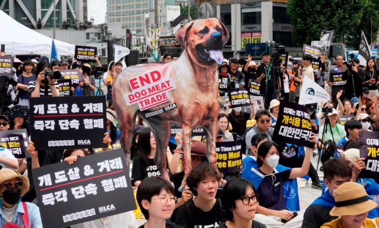 South Korea bans dog meat - Bill passed in Parliament