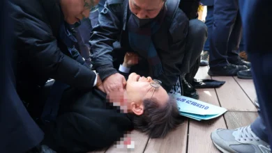 South Korean opposition leader stabbed