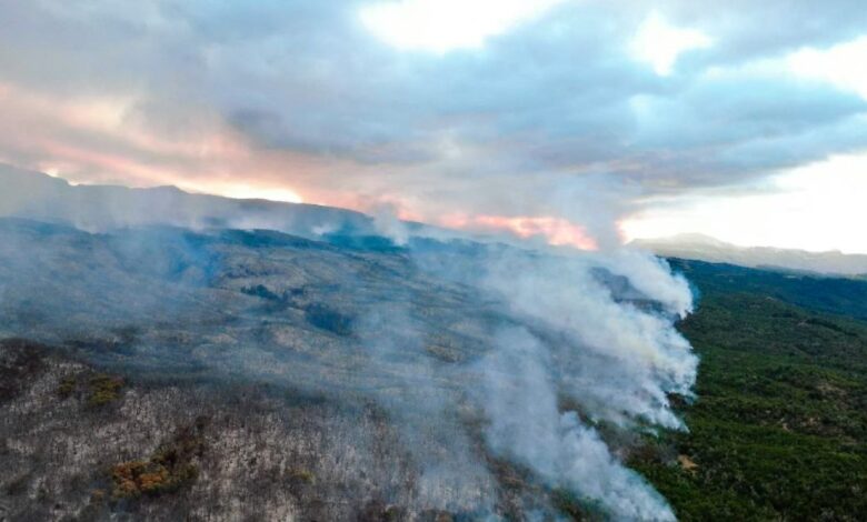 Forest fire in Argentina's Los Alerces National Park